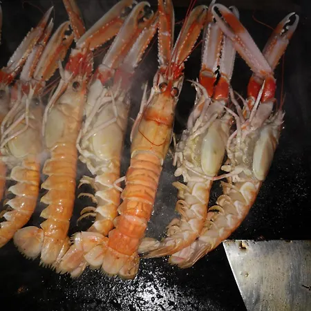 Vt Y Ht Arrizabalaga Rural.