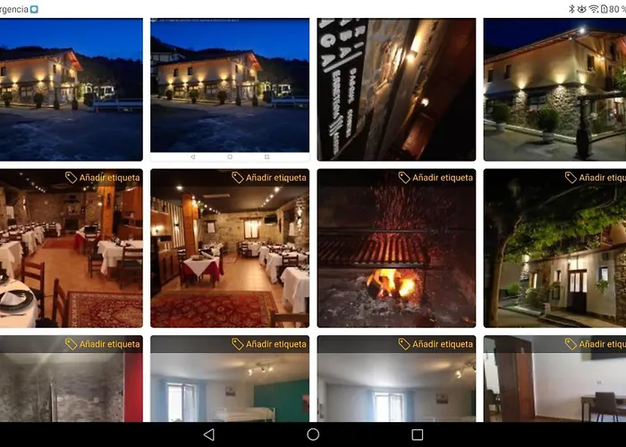 Vt Y Ht Arrizabalaga Rural.