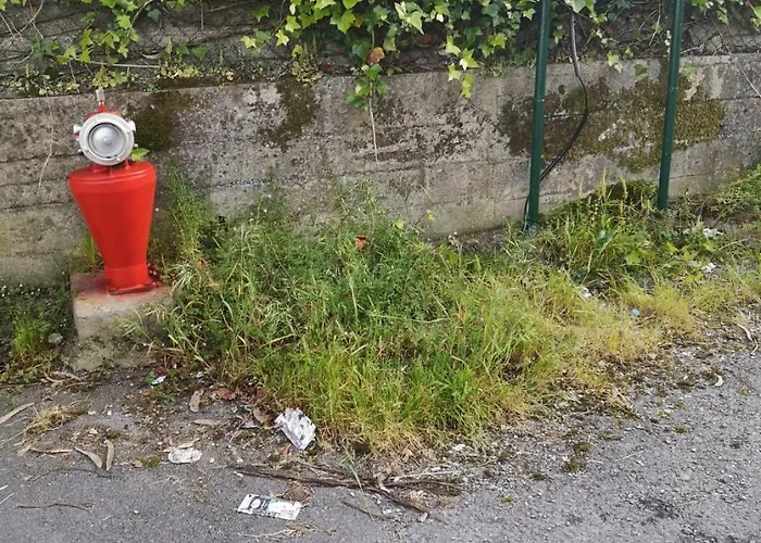 Apartment Vt Y Ht Arrizabalaga Rural. Bermeo