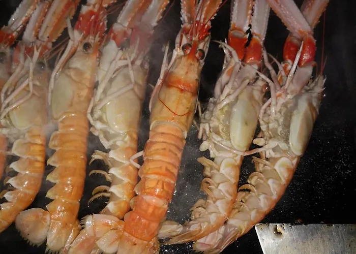 Vt Y Ht Arrizabalaga Rural.